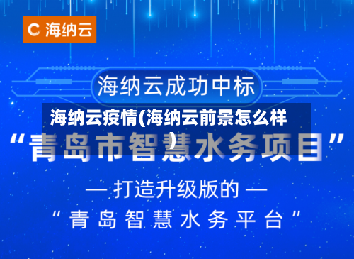 海纳云疫情(海纳云前景怎么样)
