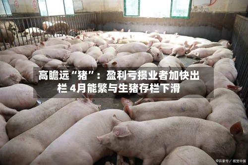 高瞻远“猪”：盈利亏损业者加快出栏 4月能繁与生猪存栏下滑