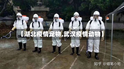 【湖北疫情宠物,武汉疫情动物】-第1张图片