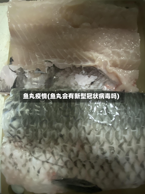 鱼丸疫情(鱼丸会有新型冠状病毒吗)