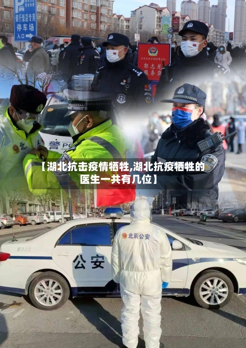 【湖北抗击疫情牺牲,湖北抗疫牺牲的医生一共有几位】