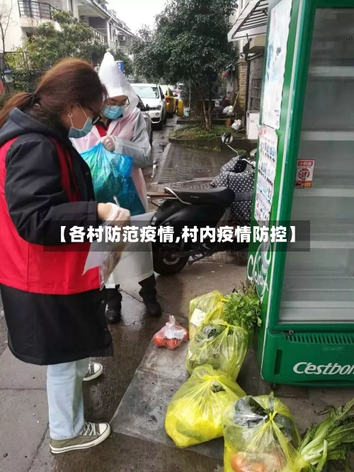 【各村防范疫情,村内疫情防控】
