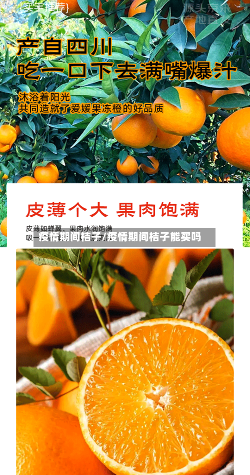 疫情期间桔子/疫情期间桔子能买吗