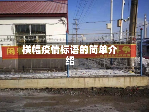 横幅疫情标语的简单介绍