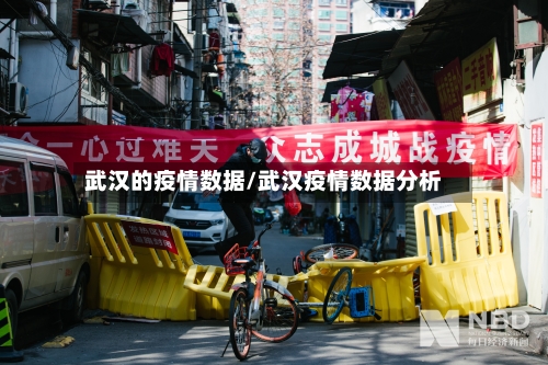 武汉的疫情数据/武汉疫情数据分析
