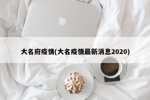 大名府疫情(大名疫情最新消息2020)